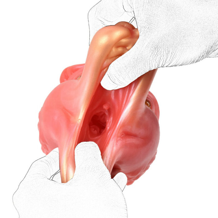 Nine-Tailed Fox Male Masturbator - Image 6